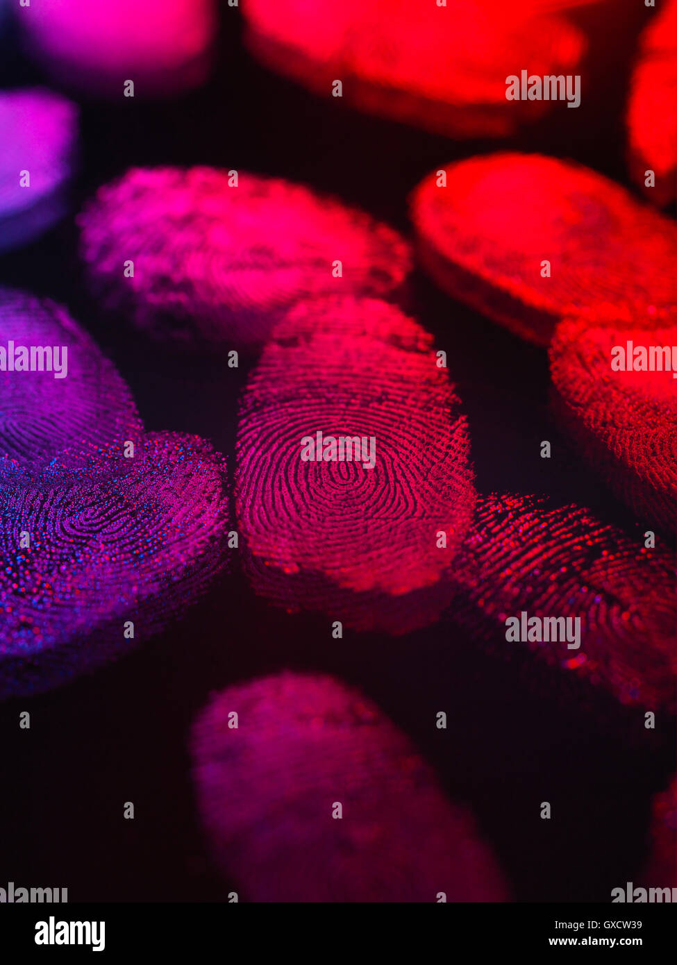 Identity, human finger prints shown up using light Stock Photo