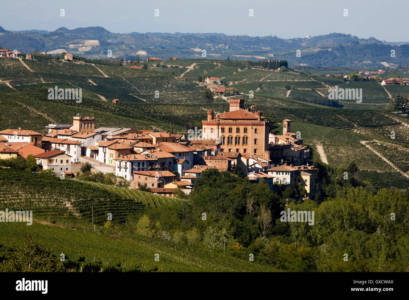 Vineyards, Barolo, Langhe, Piedmont, Italy Stock Photo