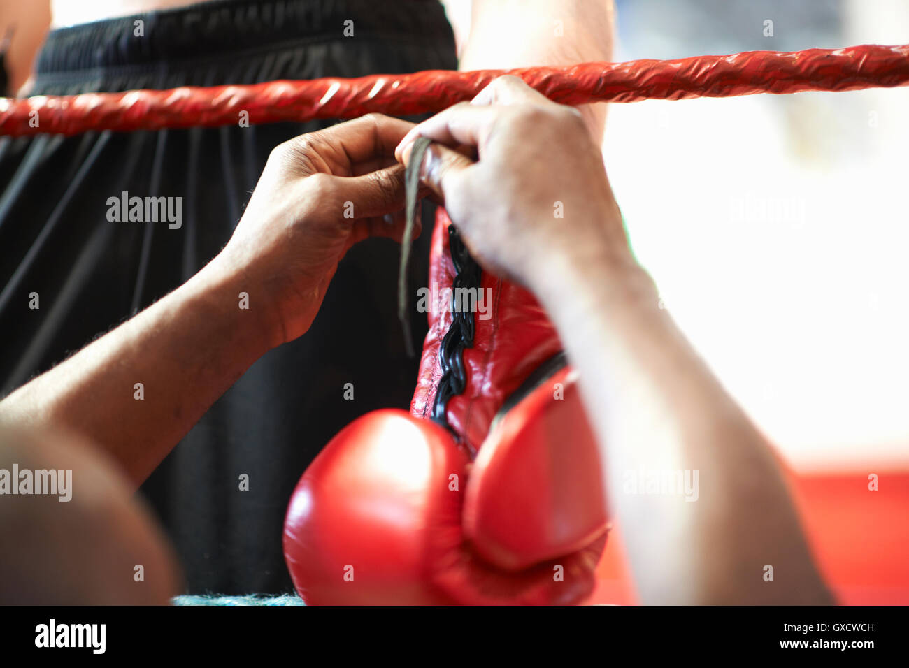 Coach helping boxer put on gloves, mid section Stock Photo
