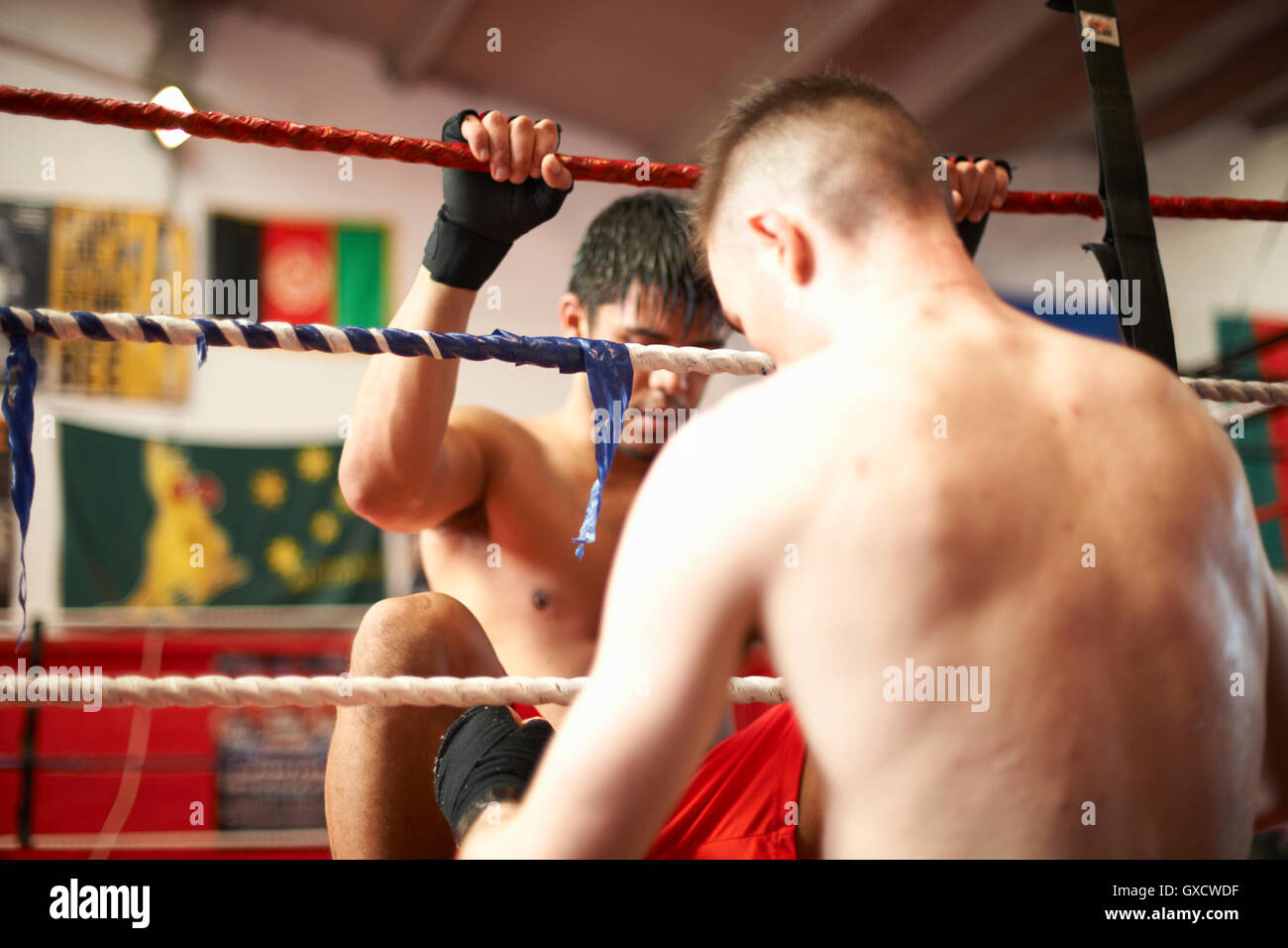 Boxer  working out with sparring partner Stock Photo