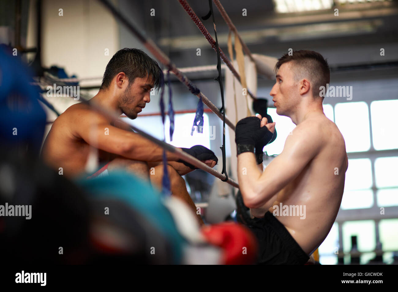 Sparring partner hires stock photography and images Alamy