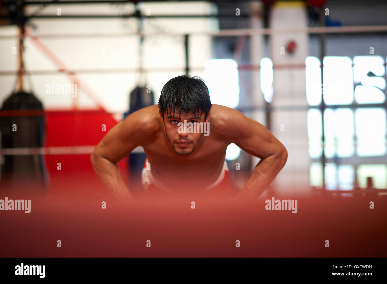 Boxer doing pushups in boxing ring Stock Photo Alamy