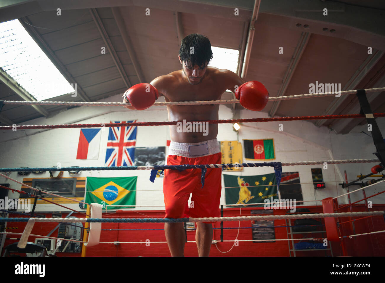 Boxer leaning on ropes of boxing ring Stock Photo Alamy
