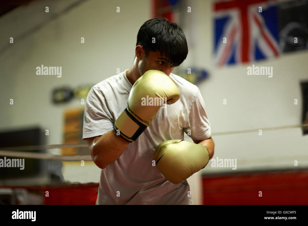 Boxer practising in boxing ring Stock Photo