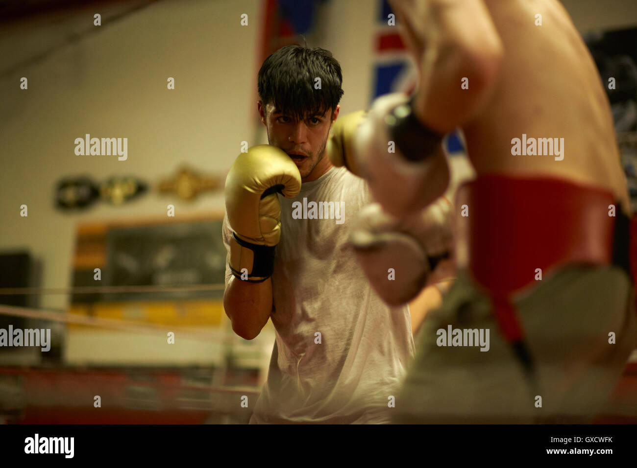 Two boxers sparring in boxing ring Stock Photo