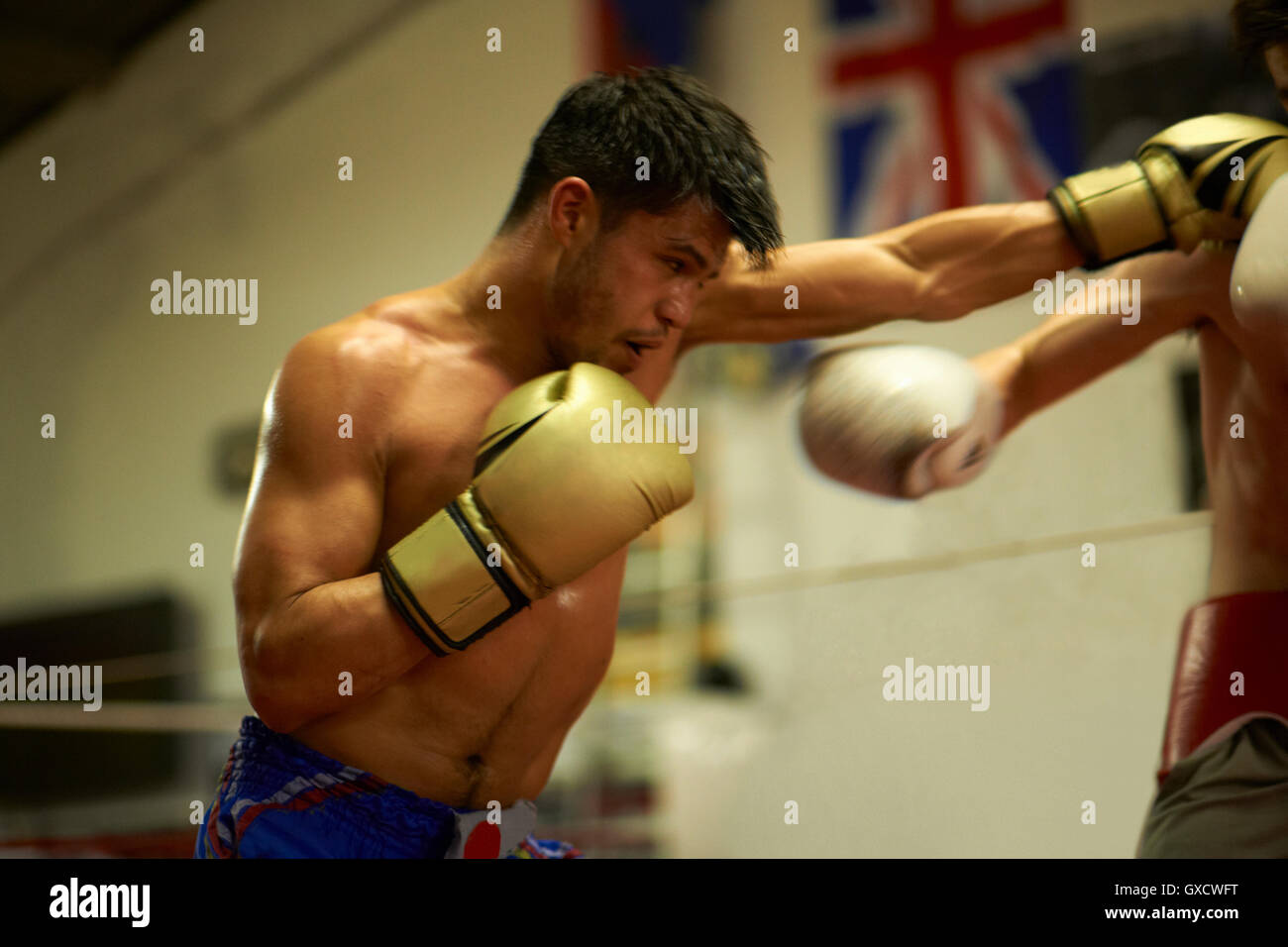 Two boxers sparring in boxing ring Stock Photo Alamy