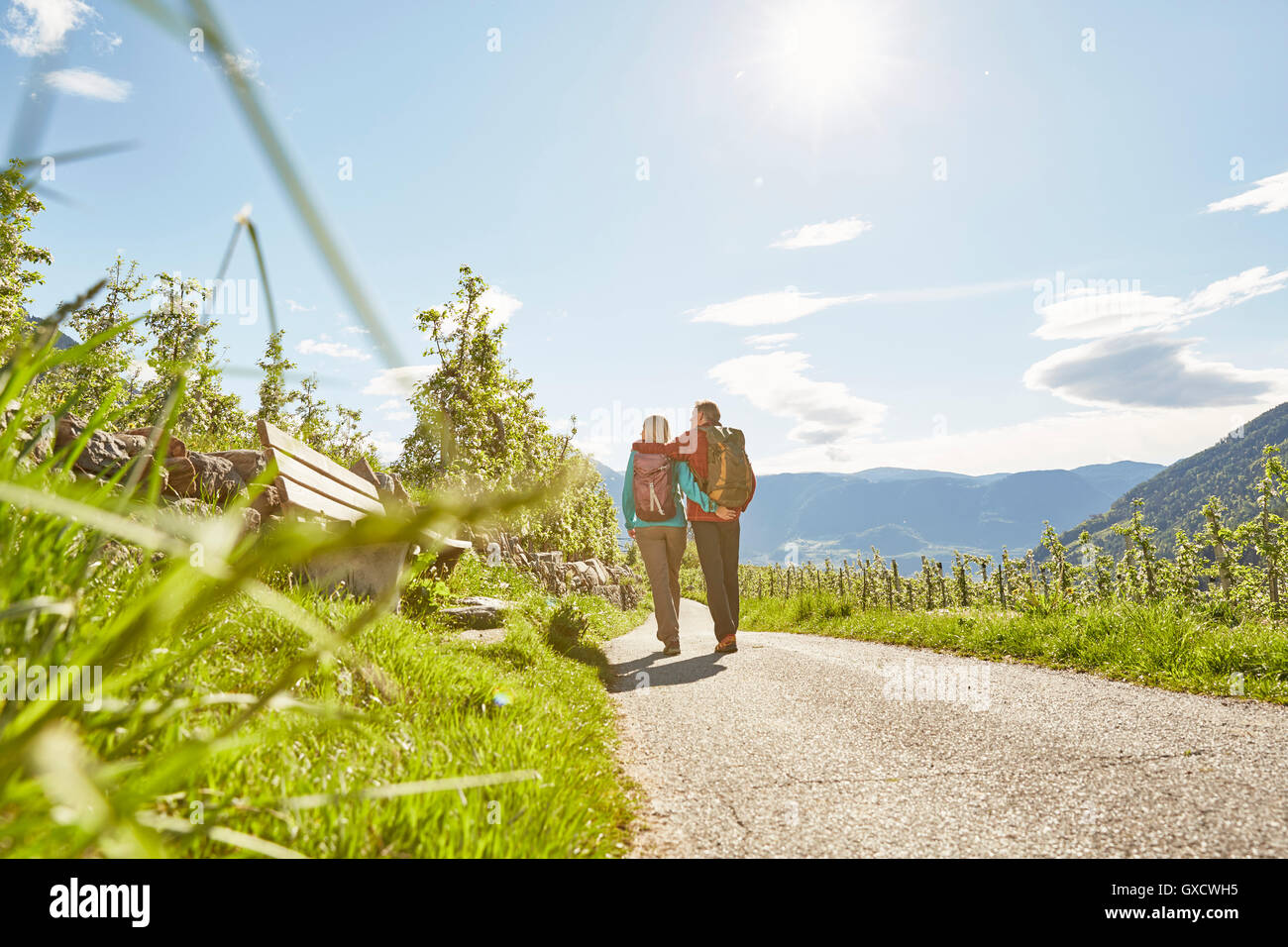 Mature couple hiking along country road, rear view, Meran, South Tyrol, Italy Stock Photo