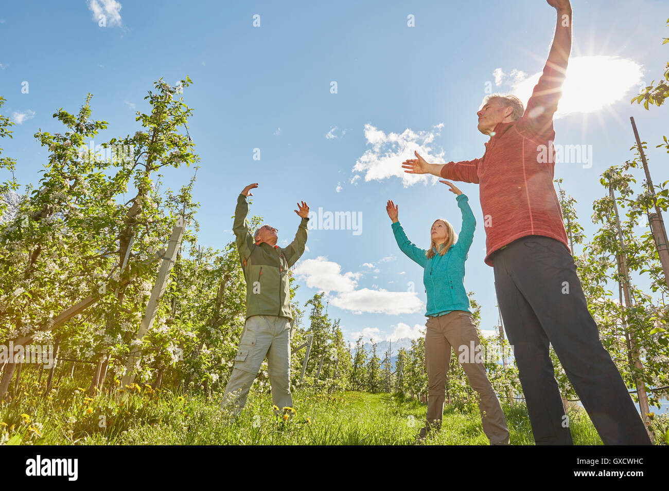 Three mature adults in filed, meditating, low angle view, Meran, South Tyrol, Italy Stock Photo