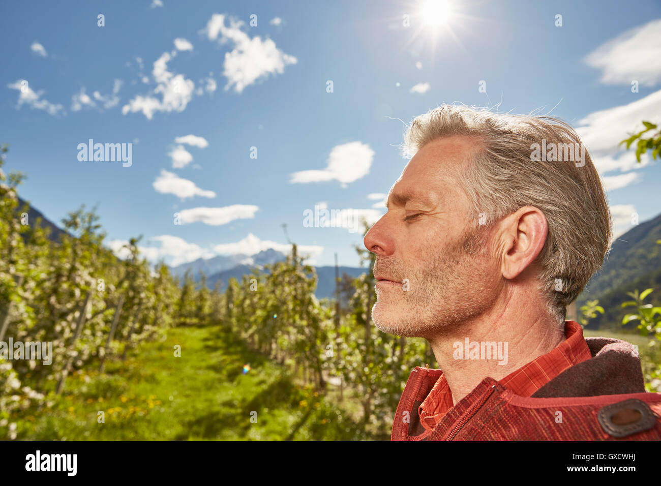 Profile of mature man, outdoors, Meran, South Tyrol, Italy Stock Photo