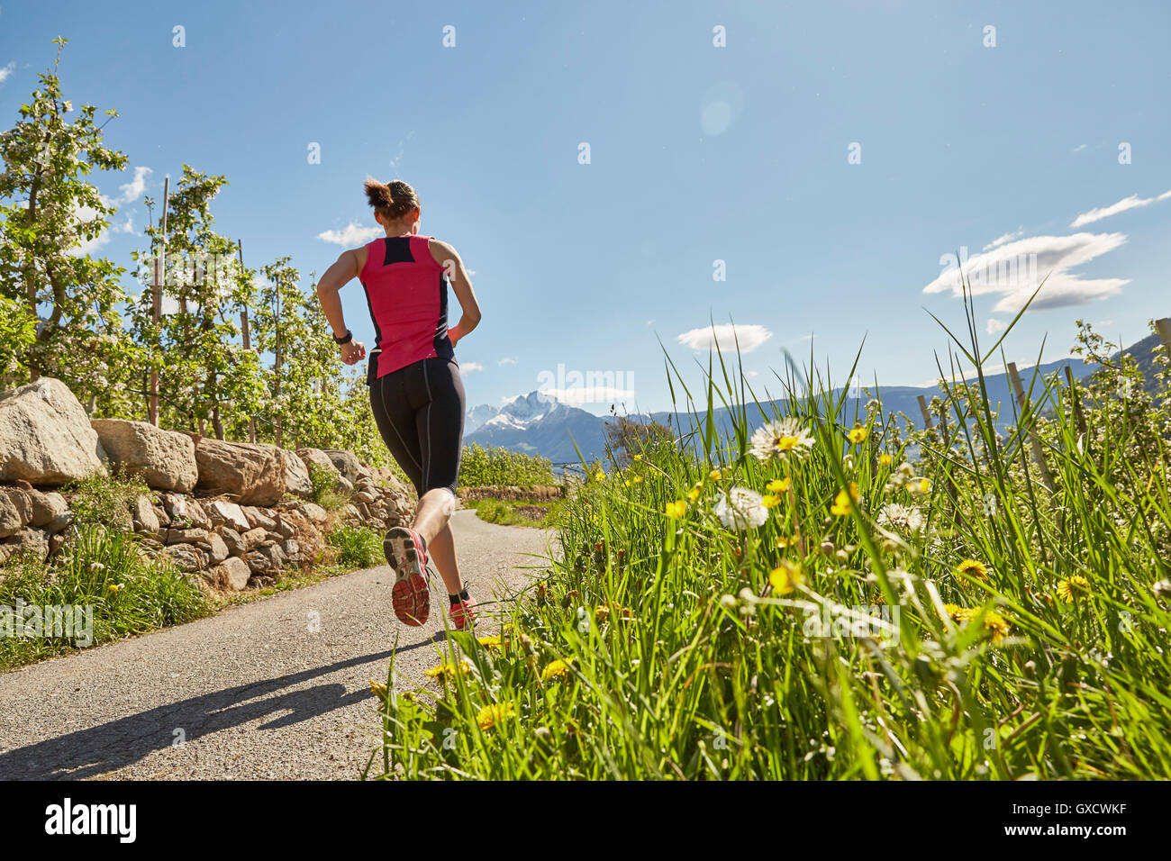 Young woman running along rural road, rear view, Meran, South Tyrol, Italy Stock Photo