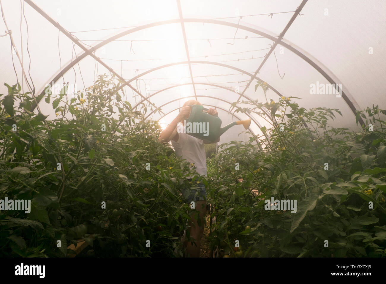 Asia water plants hi-res stock photography and images - Alamy