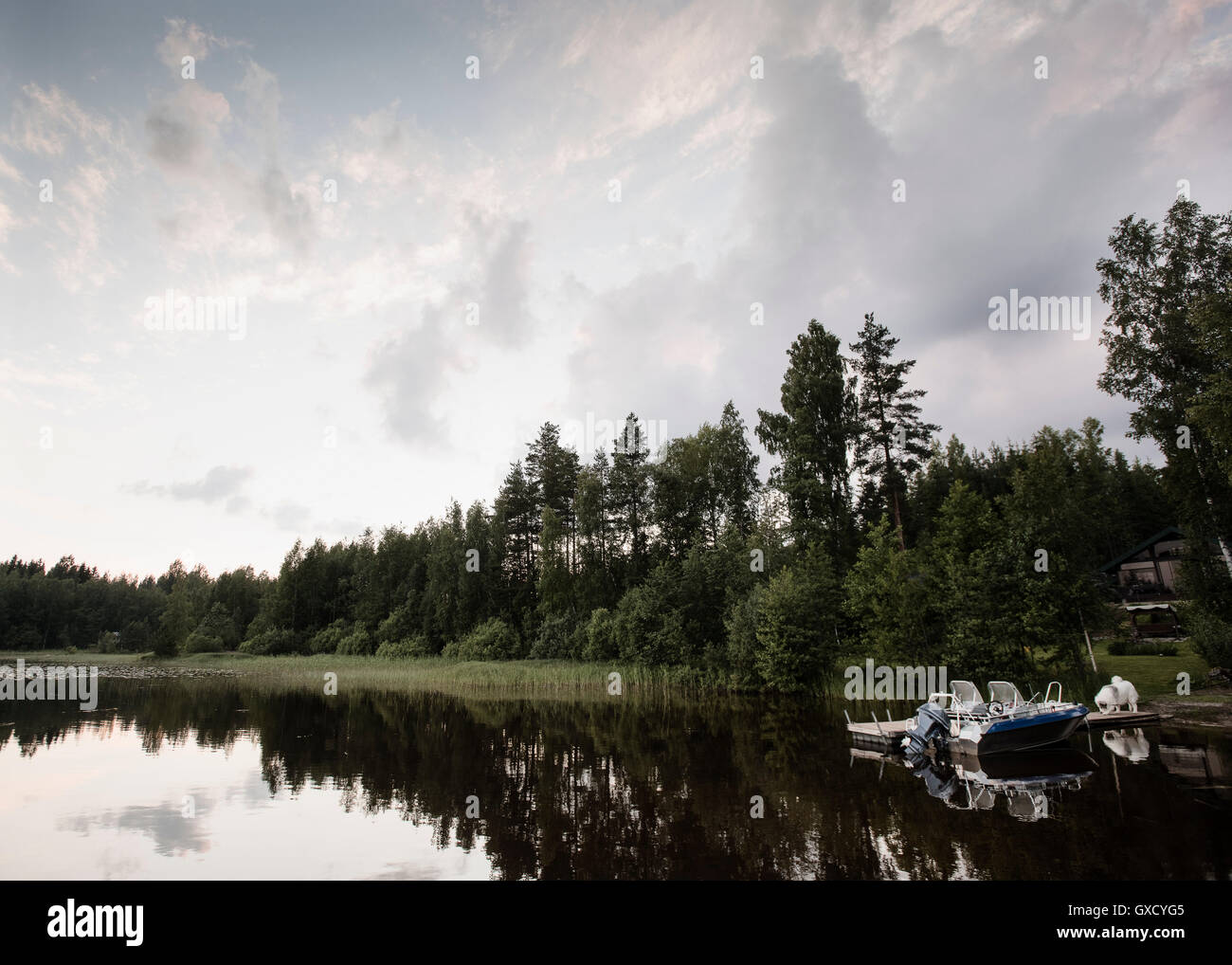 View of speedboat and lake mid summer, Orivesi, Finland Stock Photo