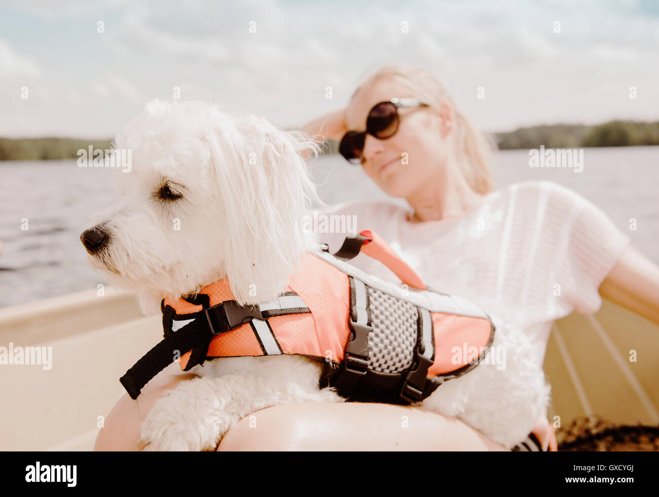 Coton de tulear dog sitting on woman's lap in boat, Orivesi, Finland