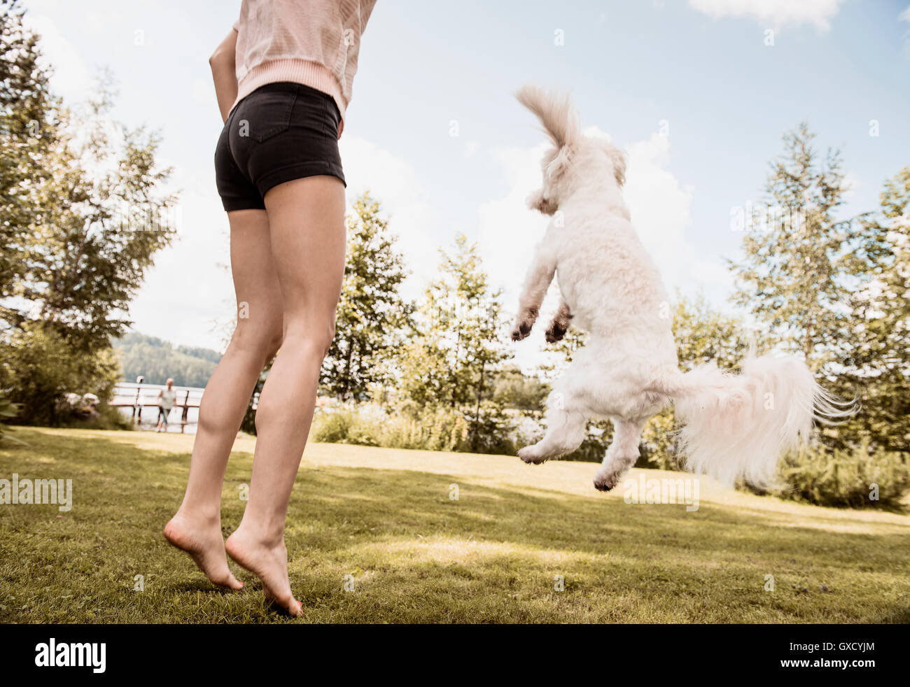 Woman jumping with coton de tulear dog in garden, Orivesi, Finland