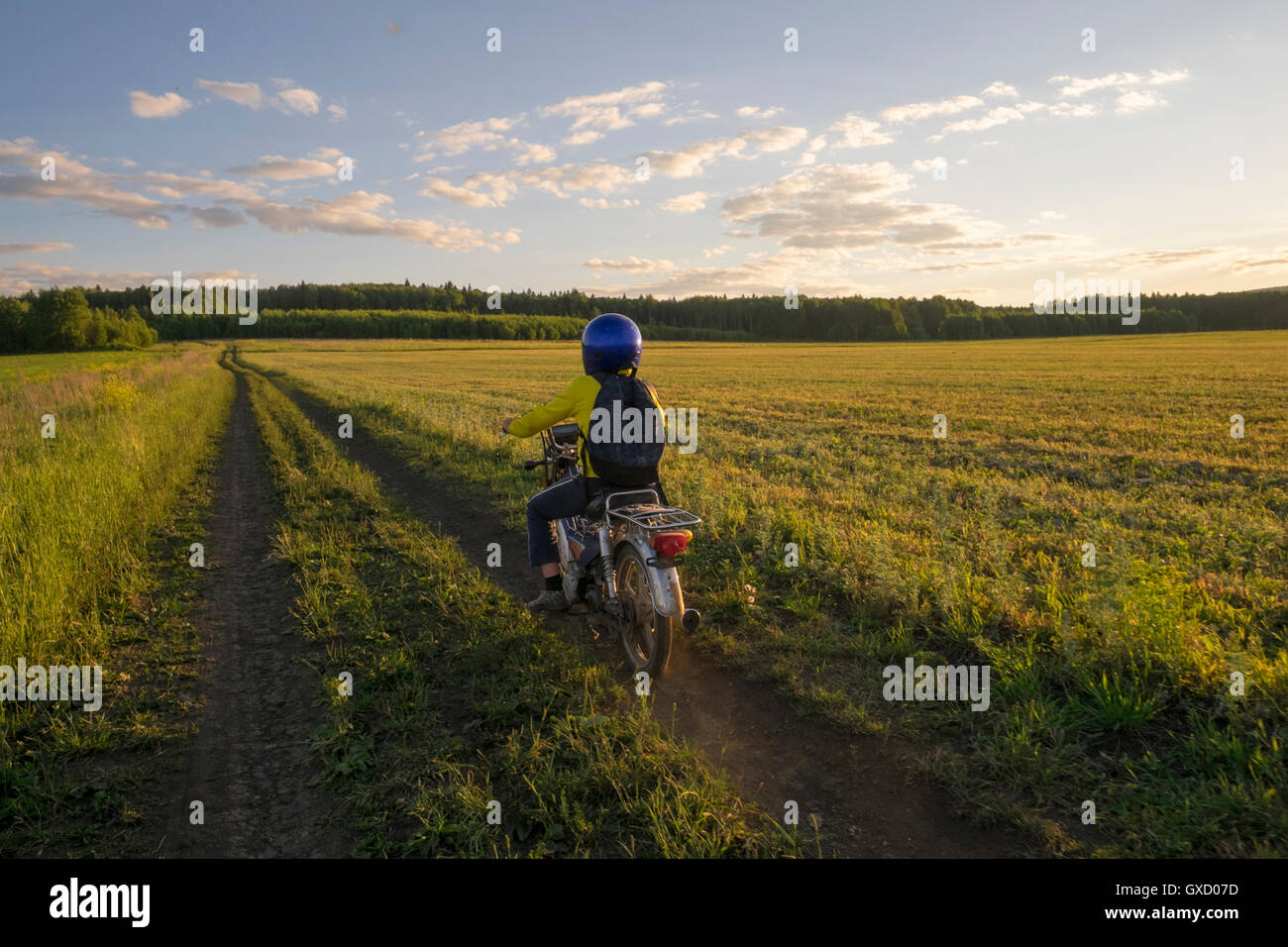 Rear view of boy riding bicycle on dirt track through field Stock Photo