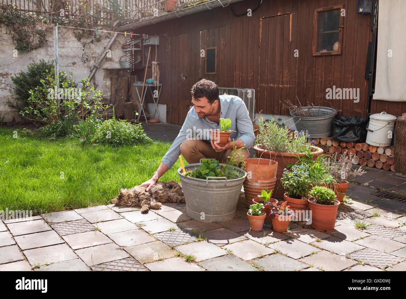 Man in garden tending to plants Stock Photo