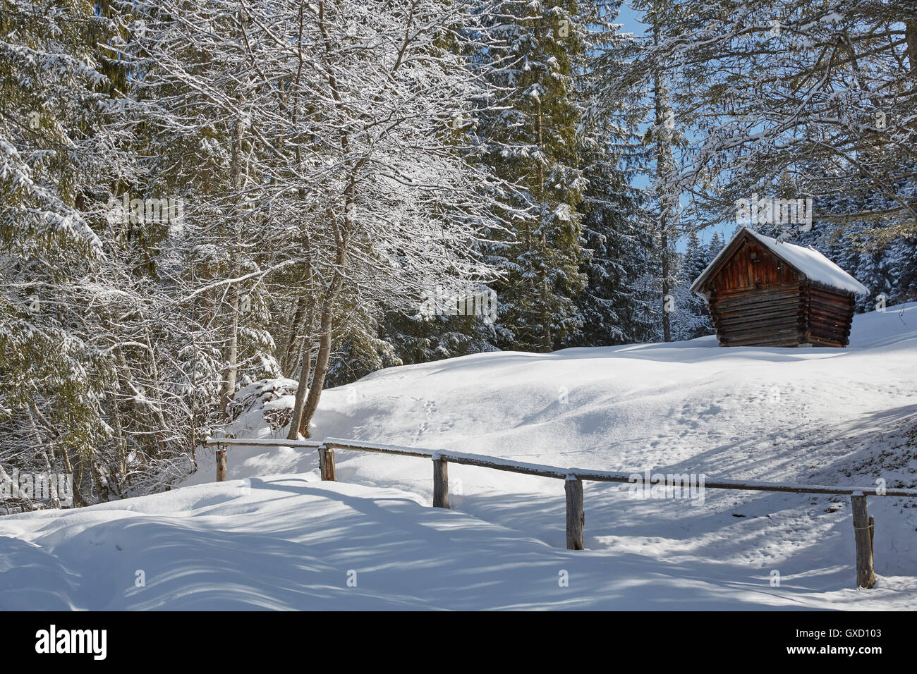 Log cabin by trees on snow covered landscape, Elmau, Bavaria, Germany Stock Photo