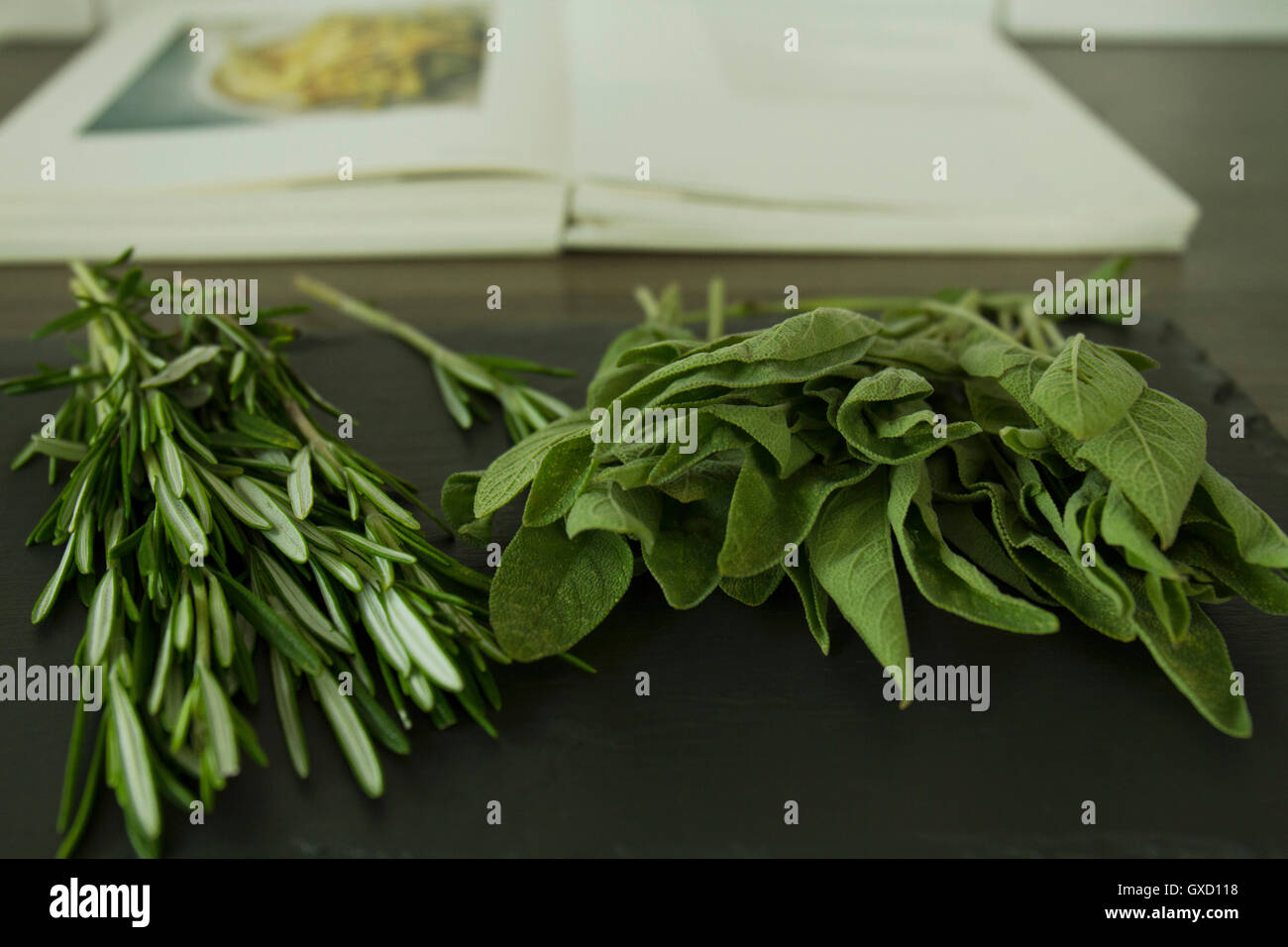 Rosemary and sage with cook book Stock Photo