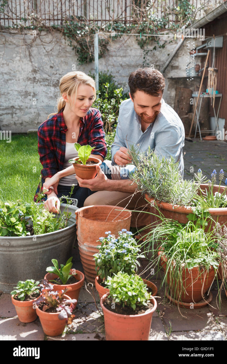 Couple in garden tending to plants Stock Photo