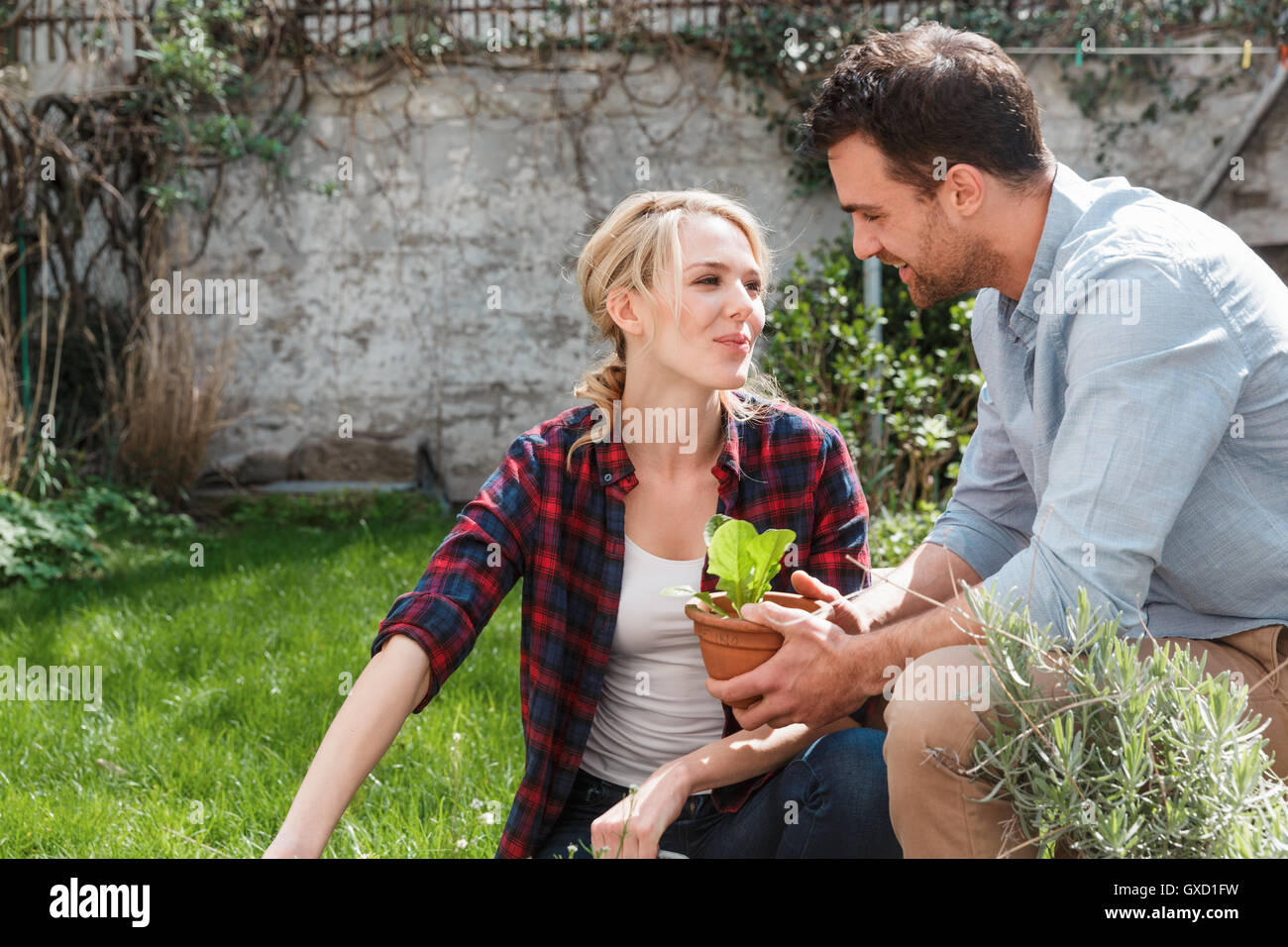 Couple in garden tending to plants Stock Photo