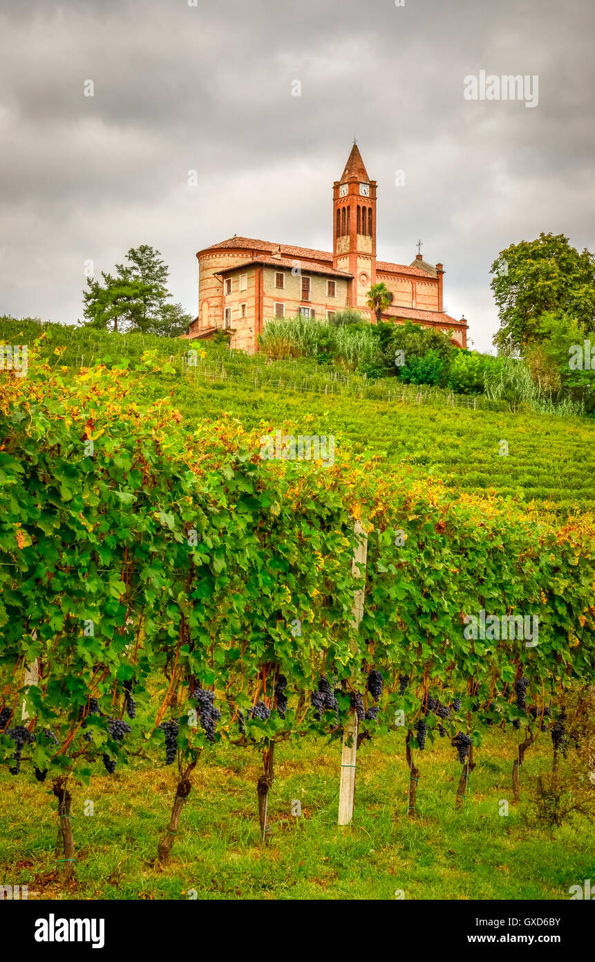 Scenic view of vineyards and old church in Piemont area, Italy Stock Photo