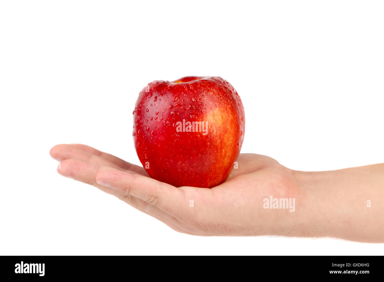 Hand holds red apple Stock Photo - Alamy