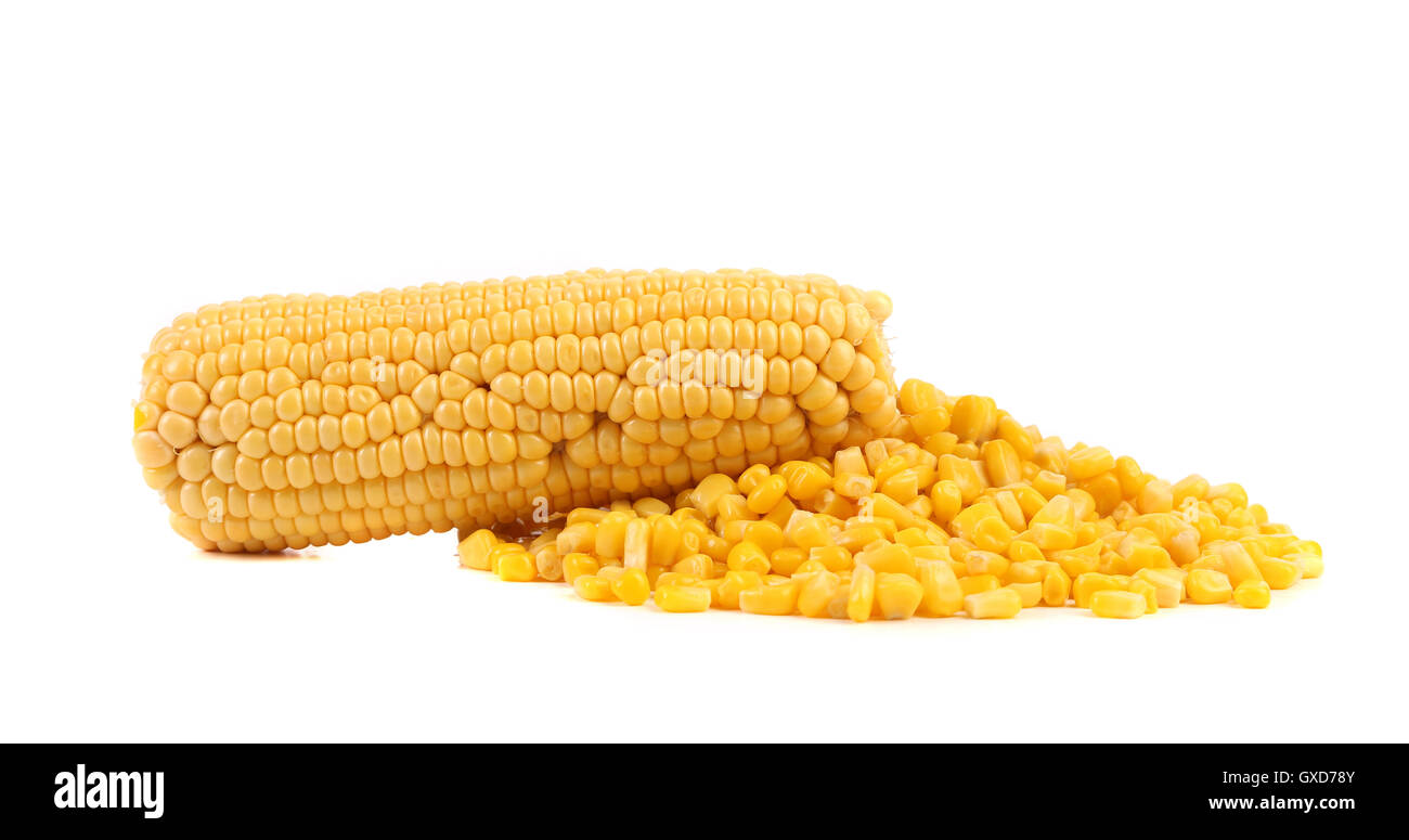 One corn cob and handful canned corns Stock Photo Alamy