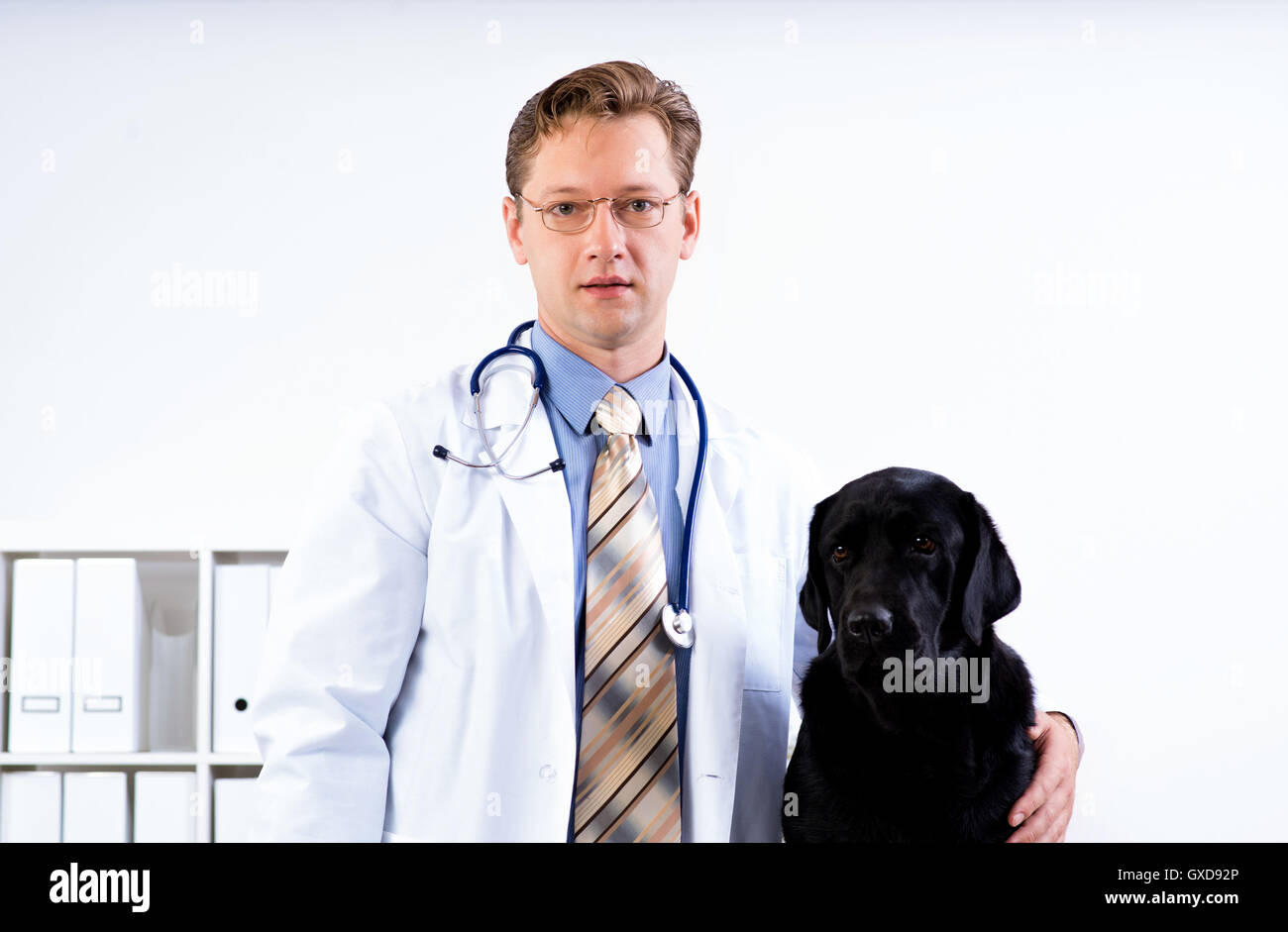 portrait of a veterinarian Stock Photo - Alamy