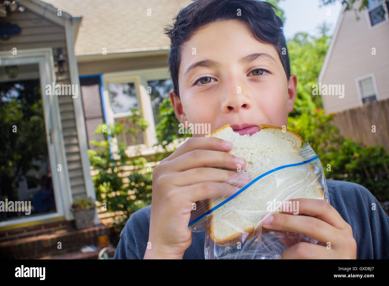 Portrait of cute boy eating sandwich in garden Stock Photo