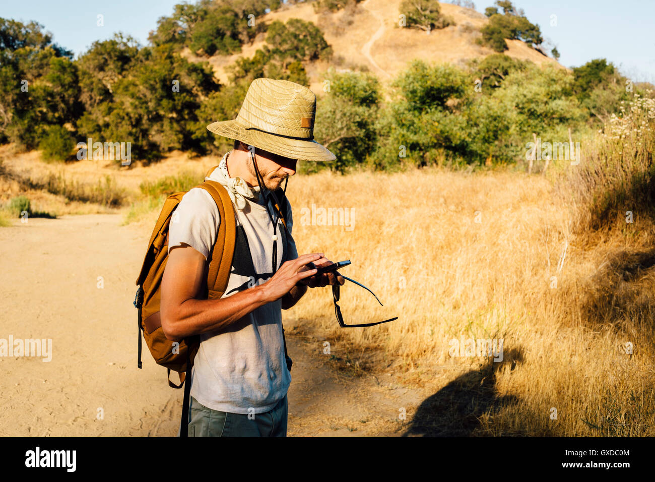 Hiker looking down at smartphone, Malibu Canyon, California, USA Stock Photo