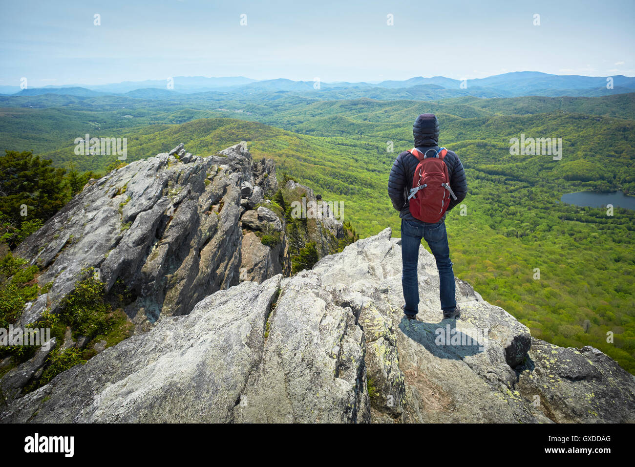 Rear view of male hiker looking out from ridge, Blue Ridge Mountains, North Carolina, USA Stock Photo
