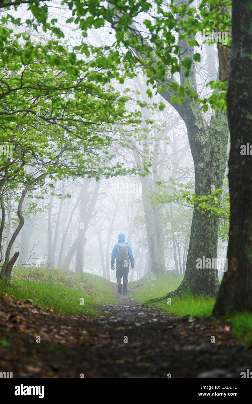 Rear view of man hiking in Shenandoah National Park, Virginia, USA Stock Photo