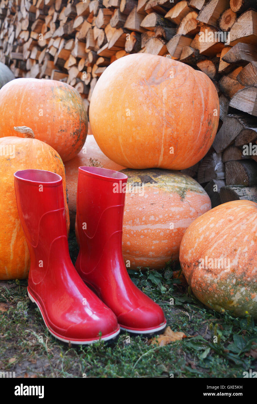 Red rain boots hi res stock photography and images Page 5 Alamy