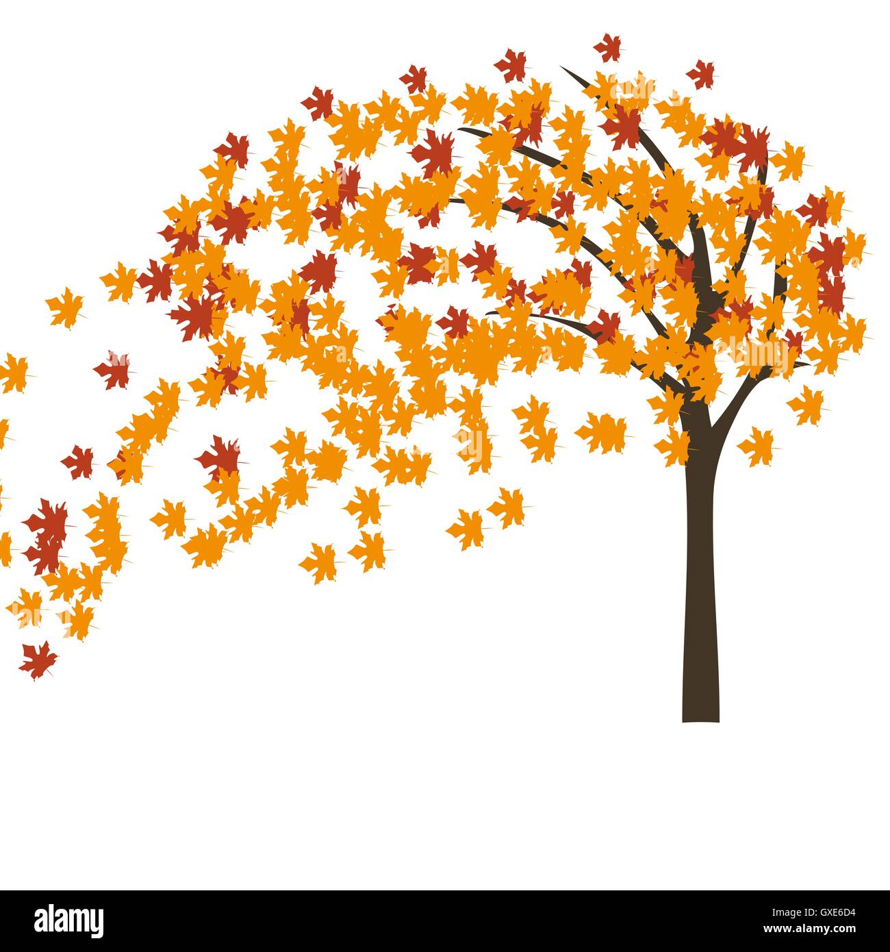 My Image 25