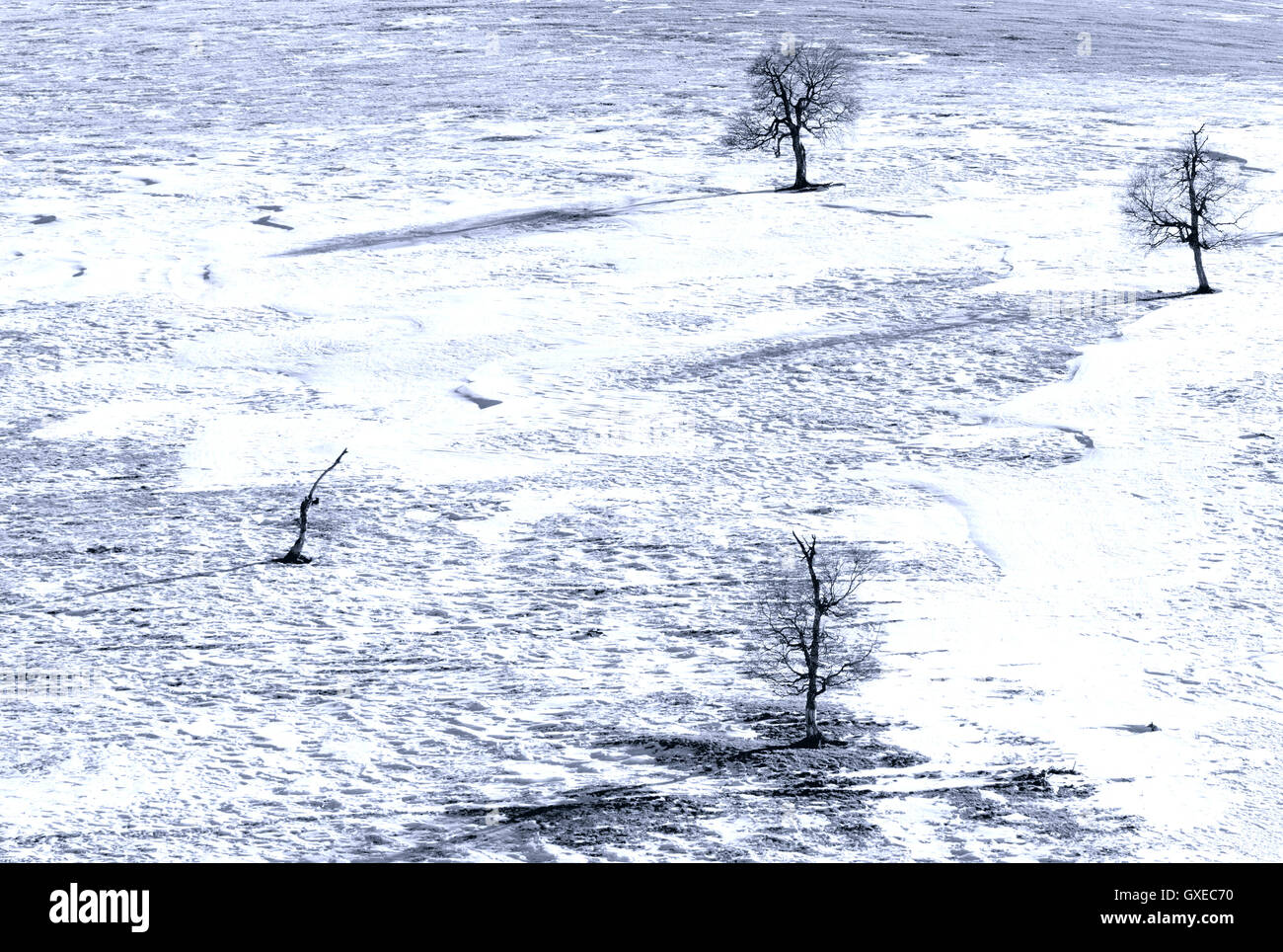 Seasonal nature winter image: mountain landscape with trees (dark silhouettes) at a snowy mountain descent (slope) field with a Stock Photo
