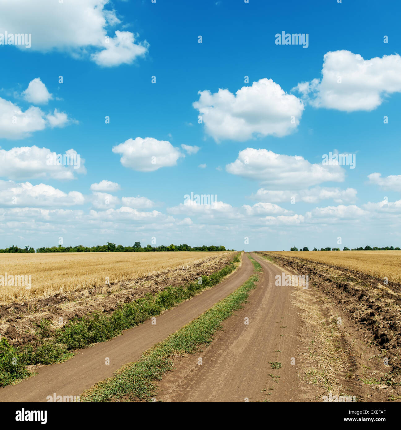 country road in field and clouds in blue sky Stock Photo - Alamy