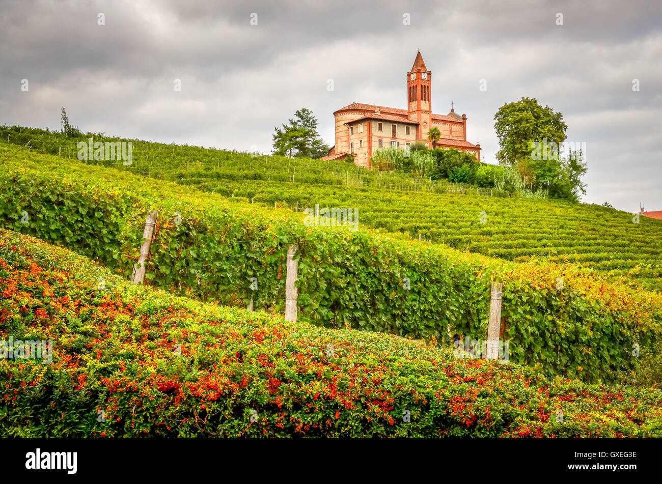 Landscape view of vineyards and old church in Piemont area, Ital Stock Photo