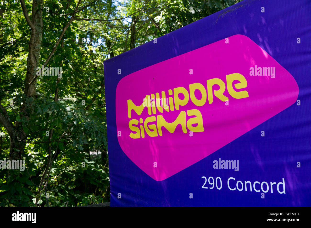 Millipore sigma hires stock photography and images Alamy