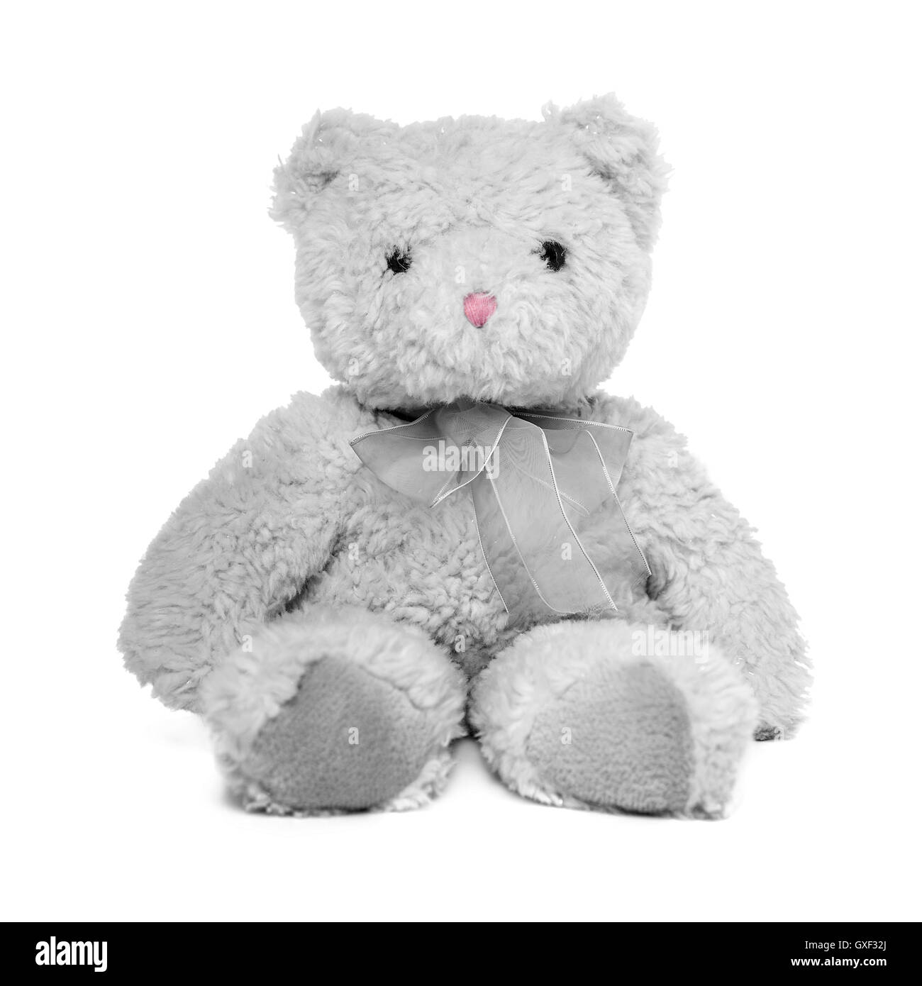 Cute teddy bear isolated on white background Stock Photo - Alamy