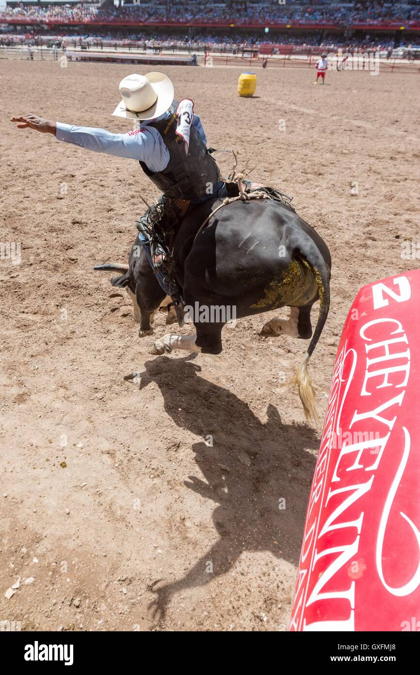 Houston rodeo hi-res stock photography and images - Alamy