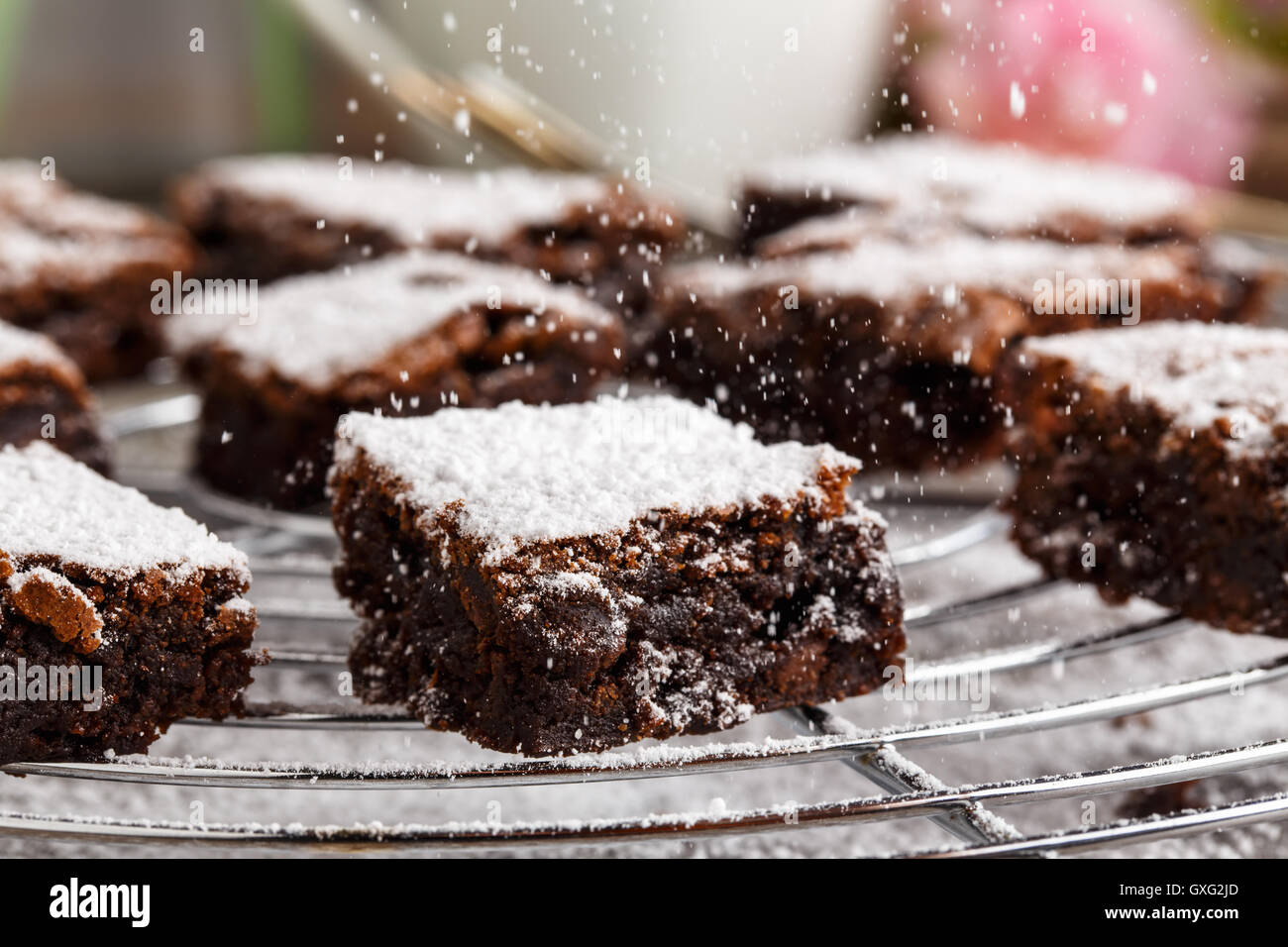 homemade chocolate brownies with icing sugar on a cake rack Stock Photo