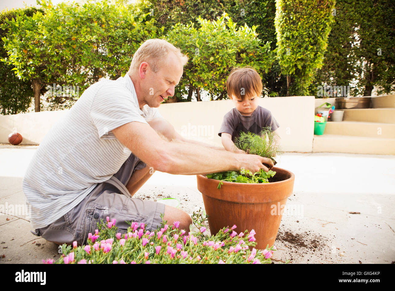 Father and son putting plant in pot Stock Photo Alamy