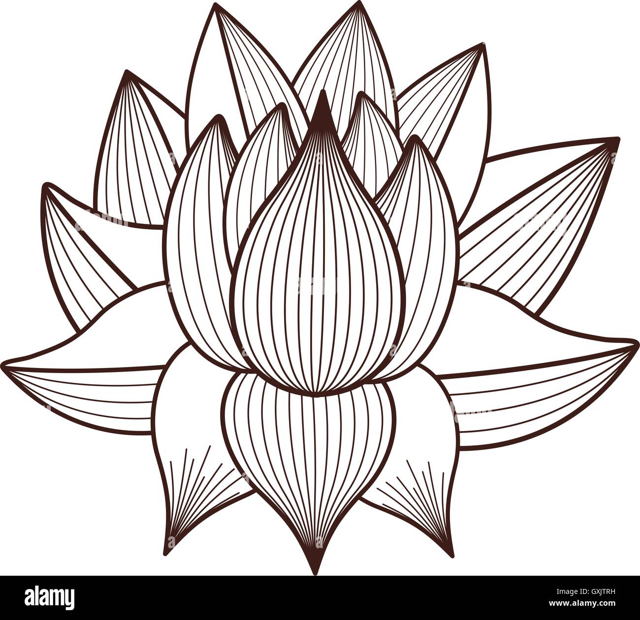 Isolated lotus flower design Stock Vector Image & Art Alamy