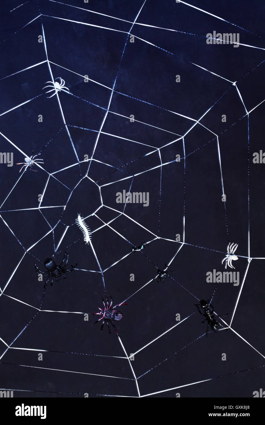 Spider net drawing hi-res stock photography and images - Alamy
