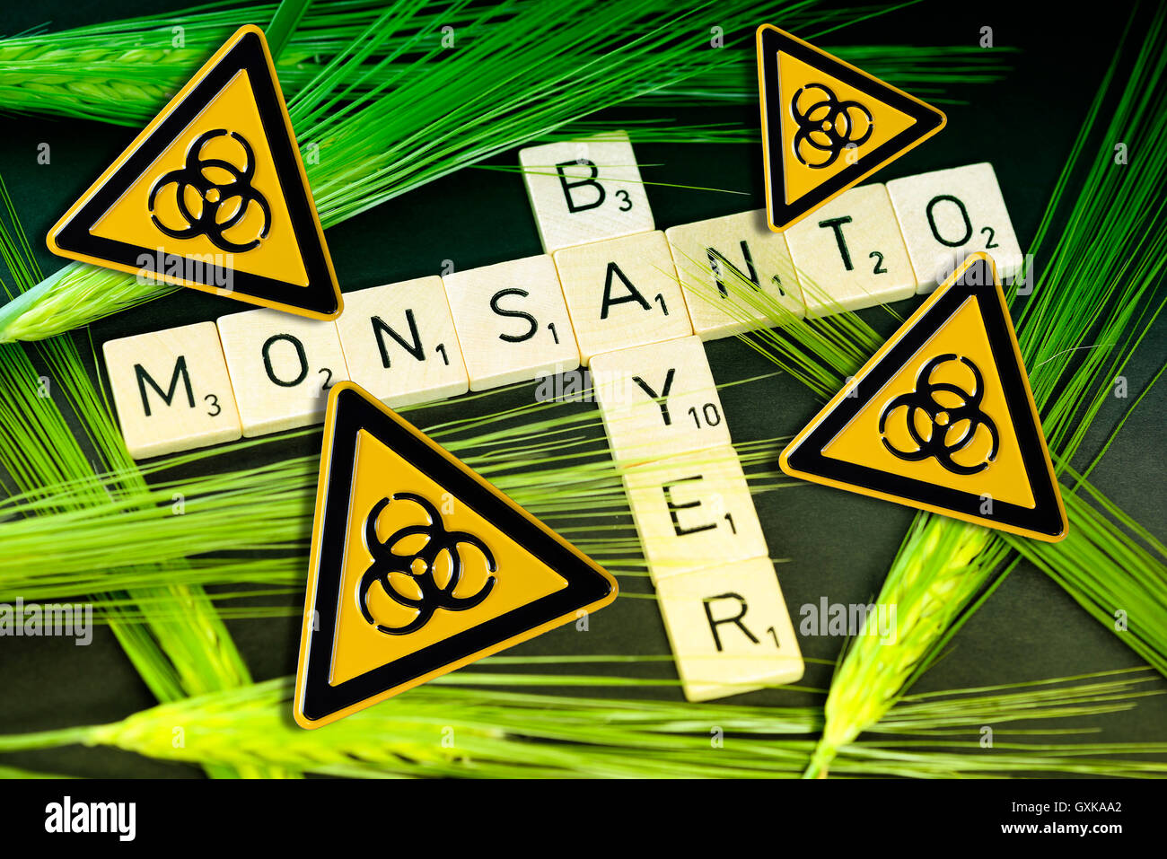 SchriftzÃ¼ge von Bayer und Monsanto mit KornÃ¤hren und BiogefÃ¤hrdungszeichen, Ãœbernahmeangebot von Bayer Stock Photo