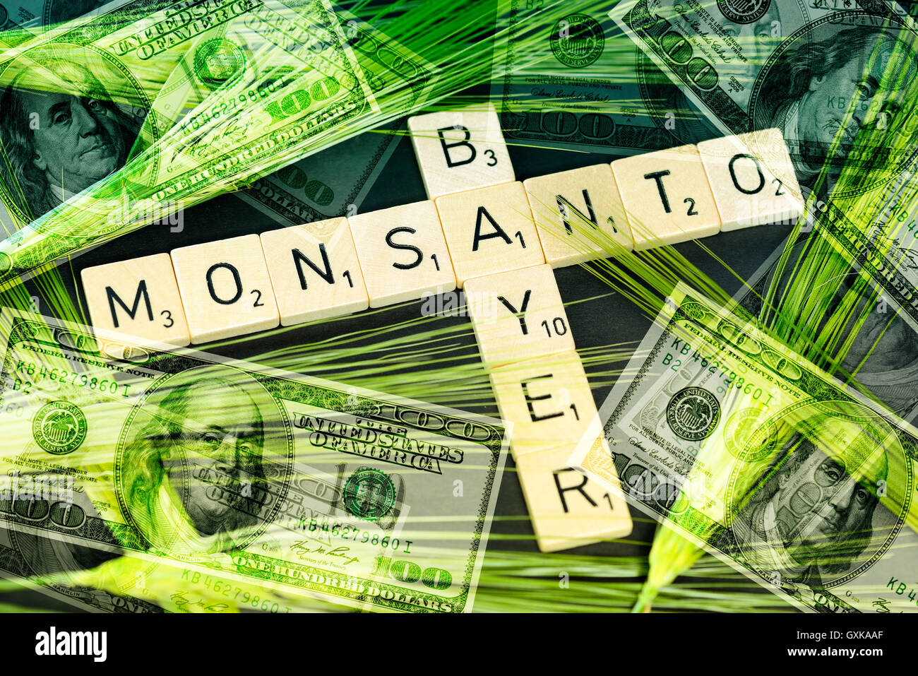 SchriftzÃ¼ge von Bayer und Monsanto mit KornÃ¤hren und Dollarnoten, Ãœbernahmeangebot von Bayer Stock Photo