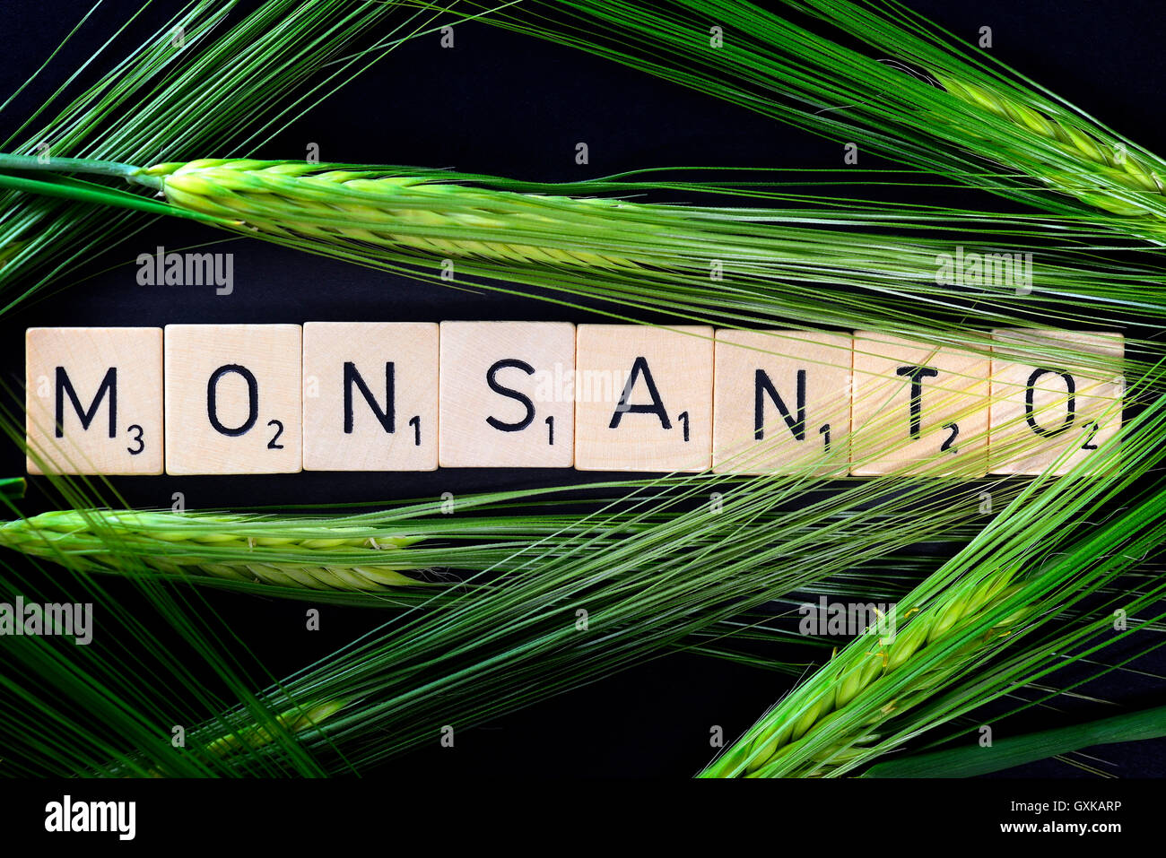 Monsanto-Schriftzug und GetreideÃ¤hren Stock Photo