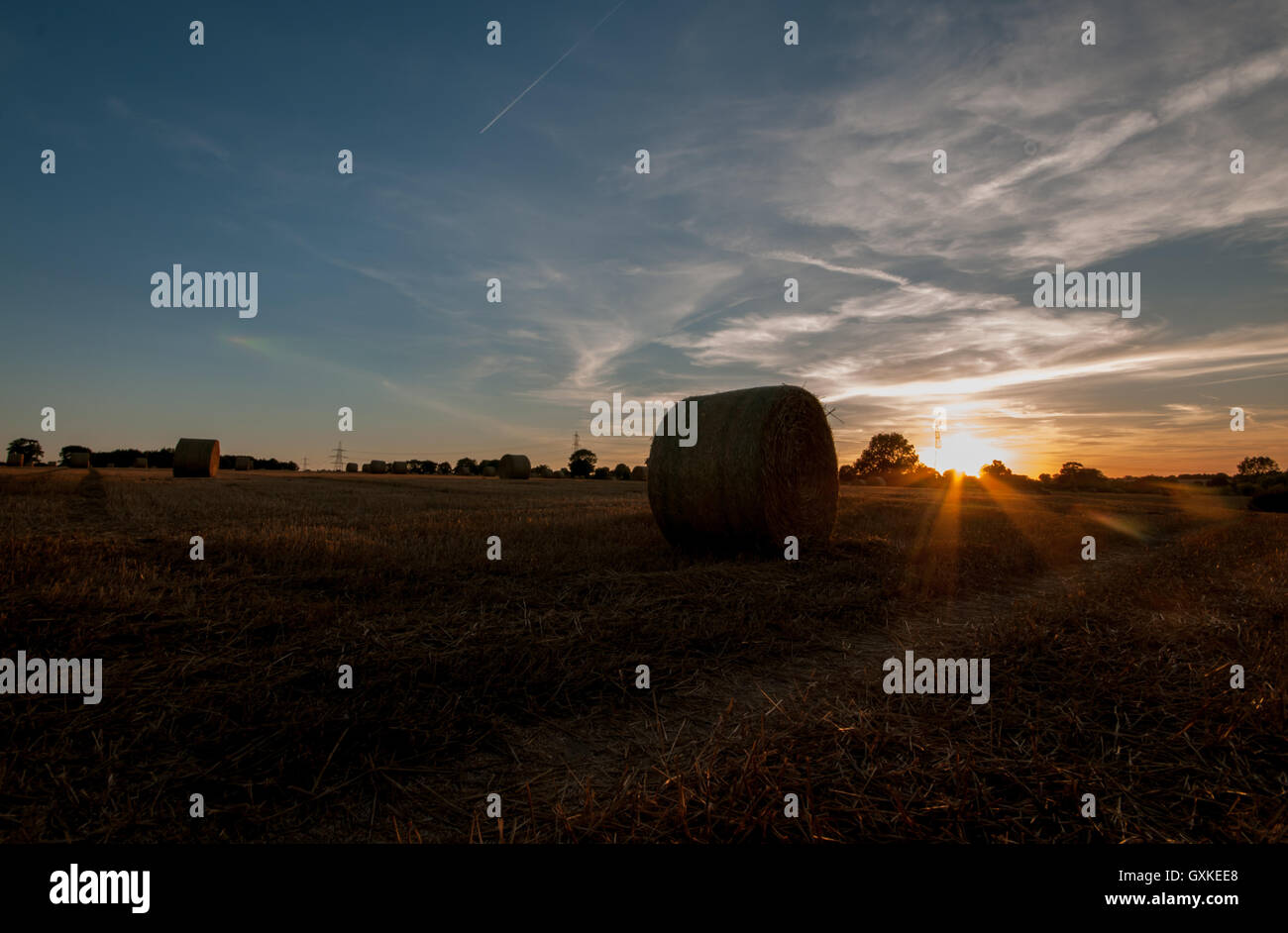 Haybales rolled in a farmers field at sunset, Essex, August Stock Photo