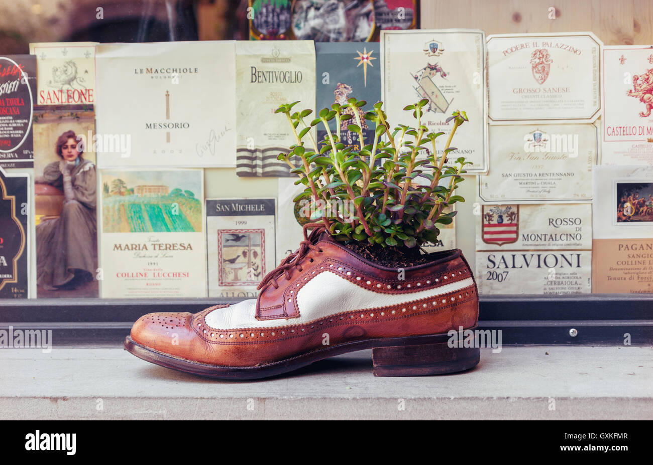 Old leather shoe as decorative flower pot in a background of vintage wine labels in Florence, Italy Stock Photo