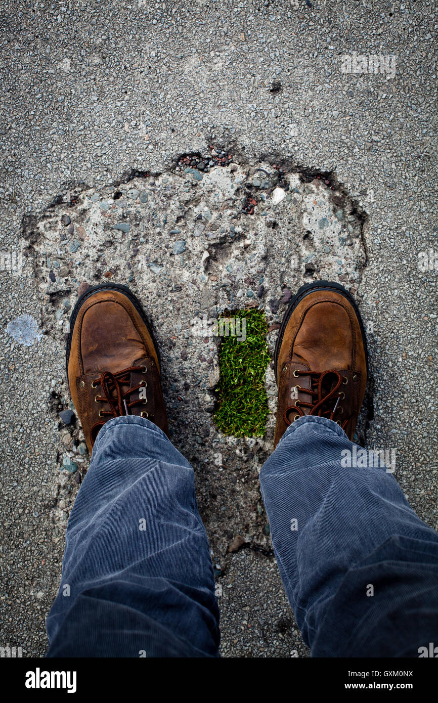 skechers jeans shoes